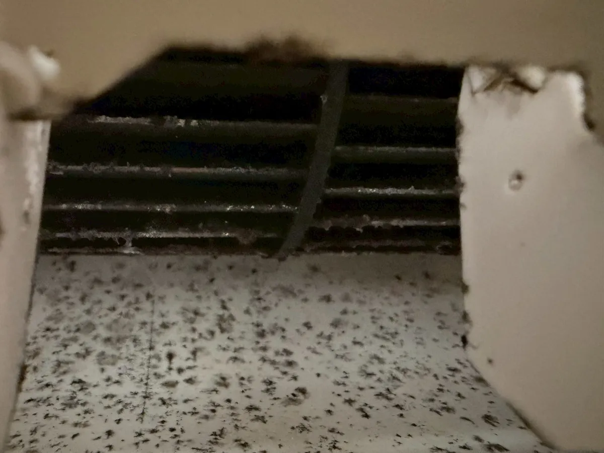 吹出口のカビ汚れ